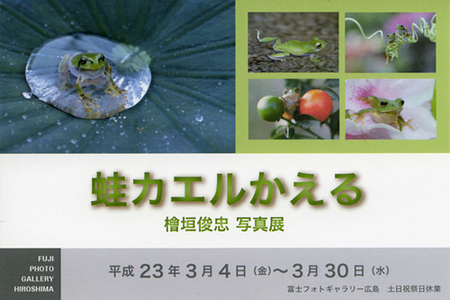 カエル 個展DM.jpg