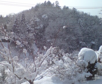 20110116140816.jpg