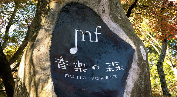 ba9e721e749a938e2ee497e2b79d4c